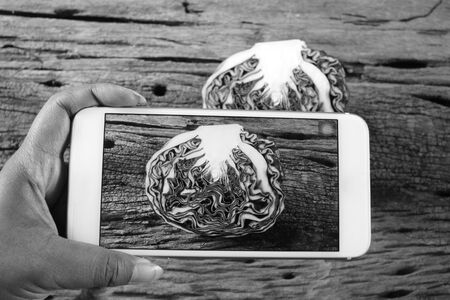 Taking a photo of red cabbage with smart phoneの写真素材