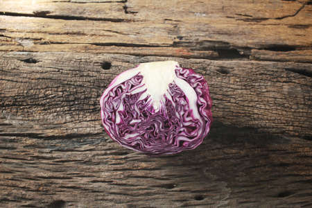 Red cabbageの写真素材