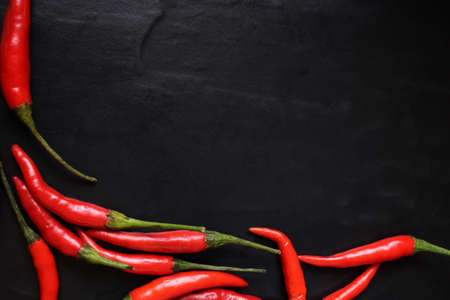 Red chiliの写真素材