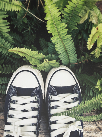 Selfie of sneakers with fern leavesの写真素材