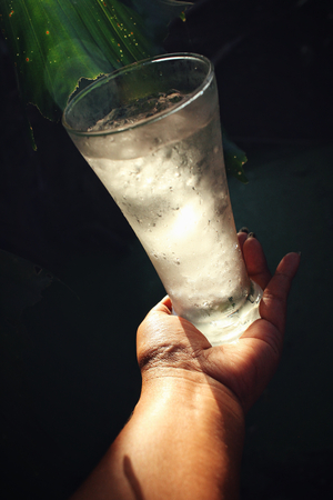 Water drinkの写真素材