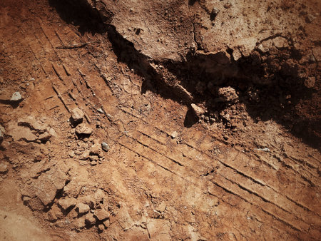 Wheel tracks on the soil.