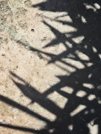 Shadow of leaves
