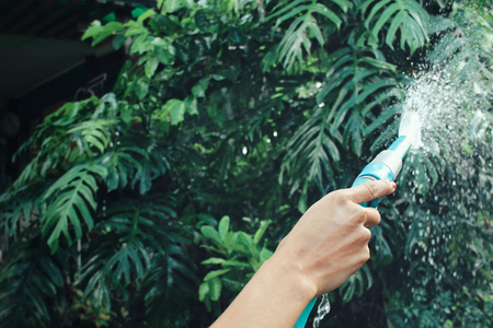 Watering gardenの写真素材