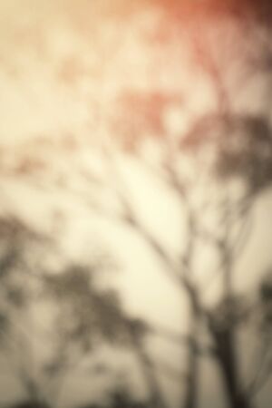 Blurred of branchesの写真素材