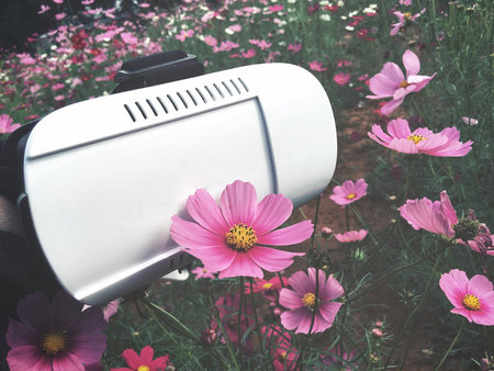 Vr glasses with pink cosmos flowers