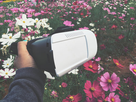 Vr glasses with pink cosmos flowers