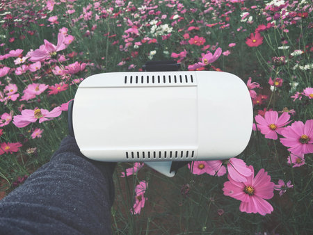 Vr glasses with pink cosmos flowers