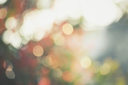 Vintage bokehの写真素材