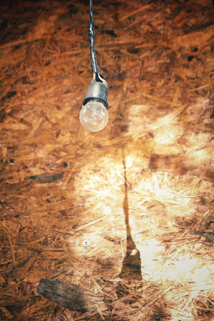 Vintage light bulb