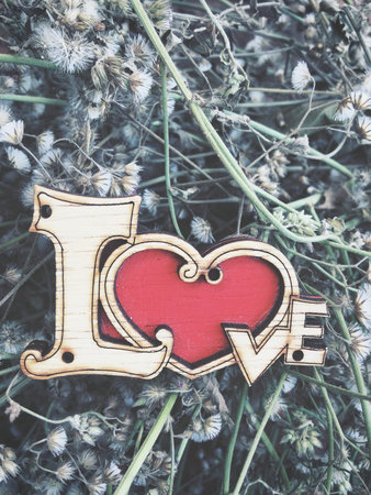 Heart on dry flowersの写真素材