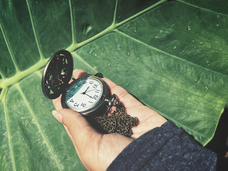 Vintage watch pocket on handの写真素材