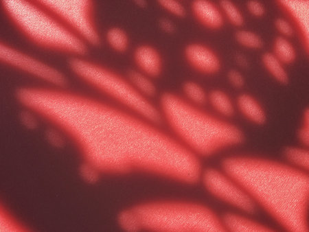 Shadow on the wall