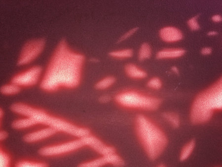 Shadow on the wallの写真素材