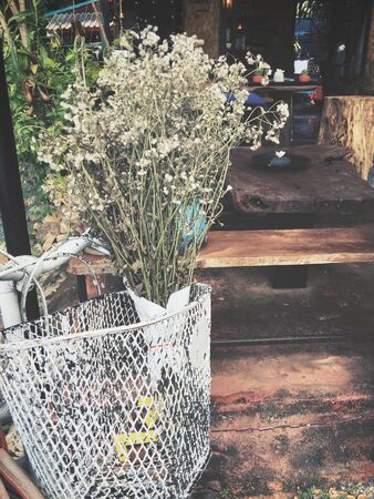 Dry flowersの写真素材