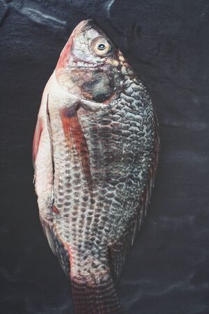 Fresh fish isolatedの写真素材