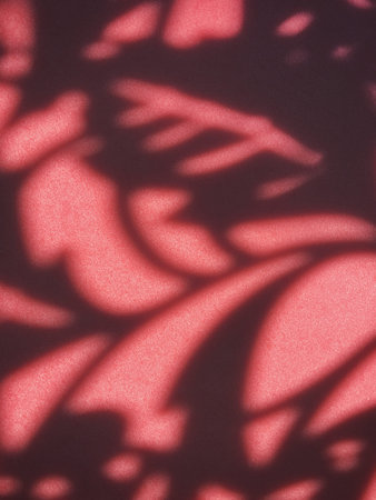 Shadow on the wallの写真素材