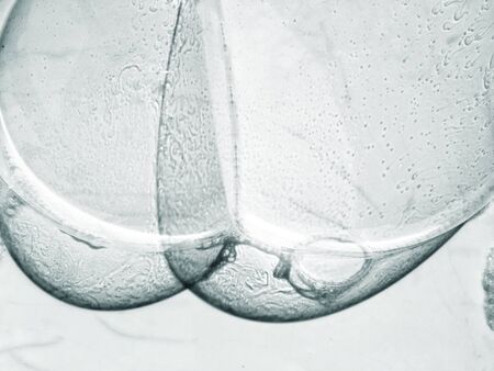 Bubble textureの写真素材