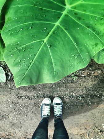 Selfie of sater drop on leaf with shoes