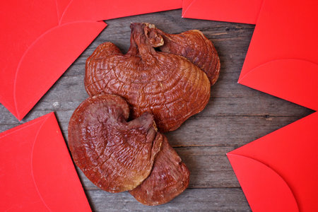 Red envelope in chinese new year festival  with ganoderma lucidum - ling zhi mushroom