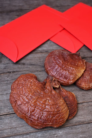 Red envelope in chinese new year festival  with ganoderma lucidum - ling zhi mushroom