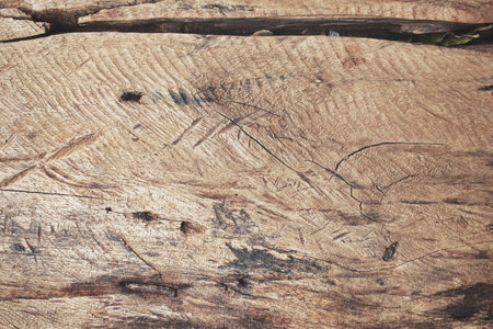 Wood backgroundの写真素材