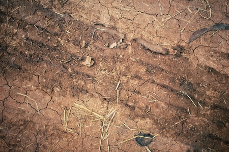 Wheel tracks on the soilの写真素材