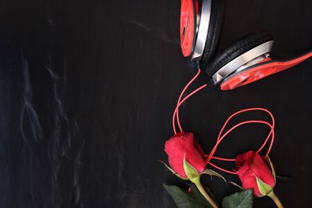Red rose with earphoneの写真素材