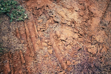 Wheel tracks on the soilの写真素材