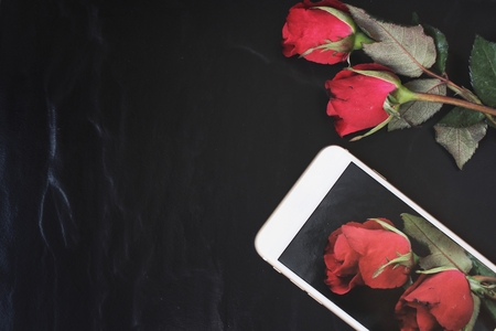 Taking a photo of red rose with smart phoneの写真素材