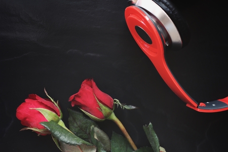 Red rose with earphoneの写真素材