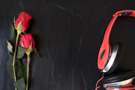 Red rose with earphoneの写真素材