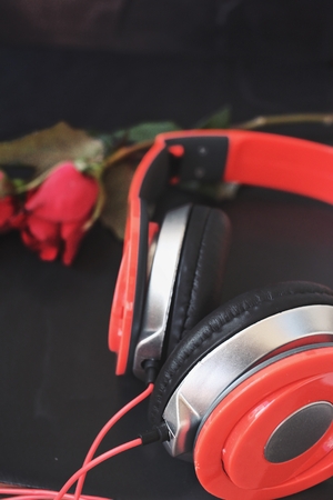 Red rose with earphoneの写真素材