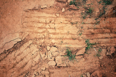 Wheel tracks on the soil