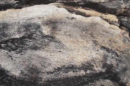 Wood backgroundの写真素材