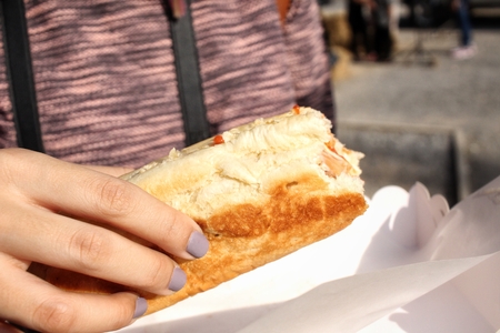 Fast food hot dogの写真素材