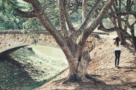 Bridgeの写真素材