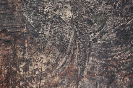 Wood backgroundの写真素材