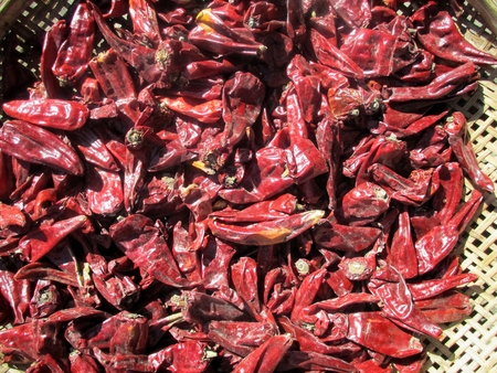 Dried chiliの写真素材