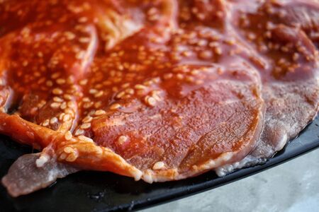 Korean red pepper paste gochujang with porkの写真素材