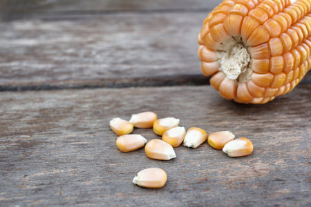 Dried corns