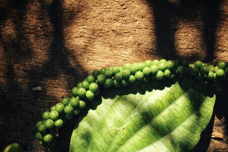 Peppercornsの写真素材