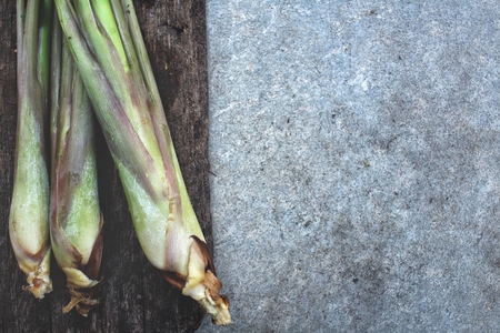 Lemon grassの写真素材