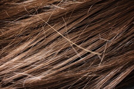 Brown hairの写真素材