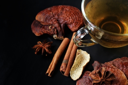 Ganoderma lucidum tea - Ling zhi mushroom.の写真素材