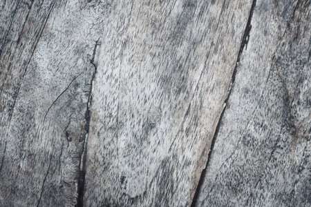 Wood backgroundの写真素材