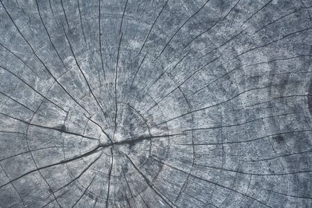 Wood backgroundの写真素材