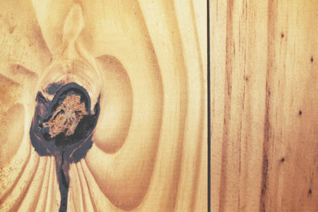 Wood backgroundの写真素材