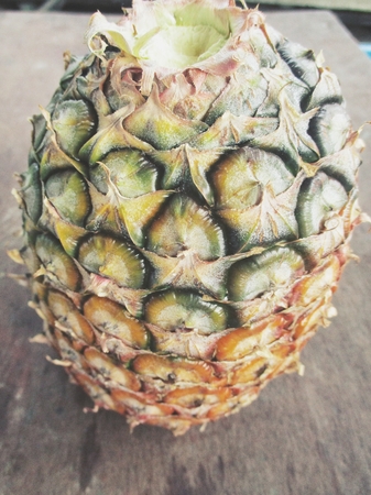 Pineapplesの写真素材