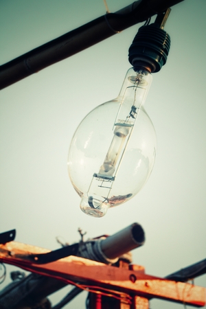 Vintage light bulbの写真素材